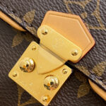 Louis Vuitton Pochette Camille M13566 Brown